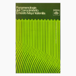Fenomenología del conocimiento. El problema de la constitución del objeto en la filosofía de Husserl. 1ra Edición