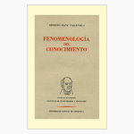 Fenomenología del conocimiento. El problema de la constitución del objeto en la filosofía de Husserl. 2da Edición